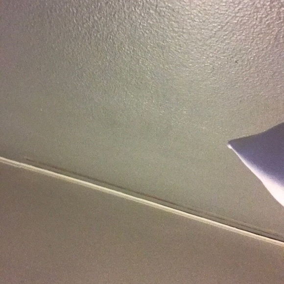 rachh314